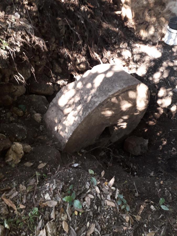 Kamp Seosko Domacinstvo Radman הרצג-נובי